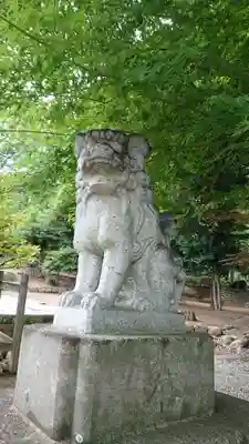 瀧宮神社の狛犬