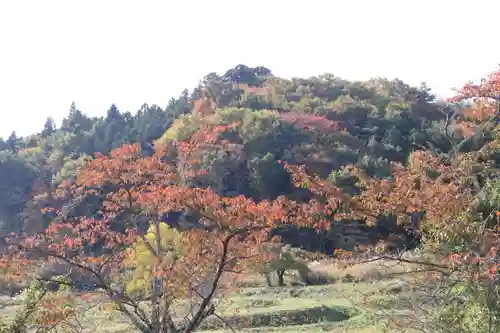 高司神社〜むすびの神の鎮まる社〜の景色