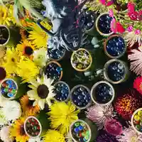 札幌諏訪神社の手水舎