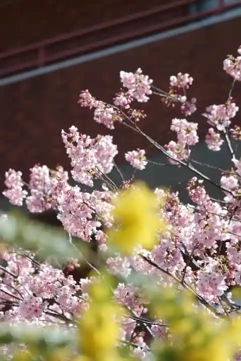 蔵前神社(東京都)