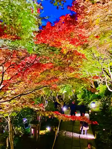 長谷寺(神奈川県)
