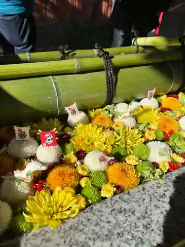 富岡八幡宮(東京都)