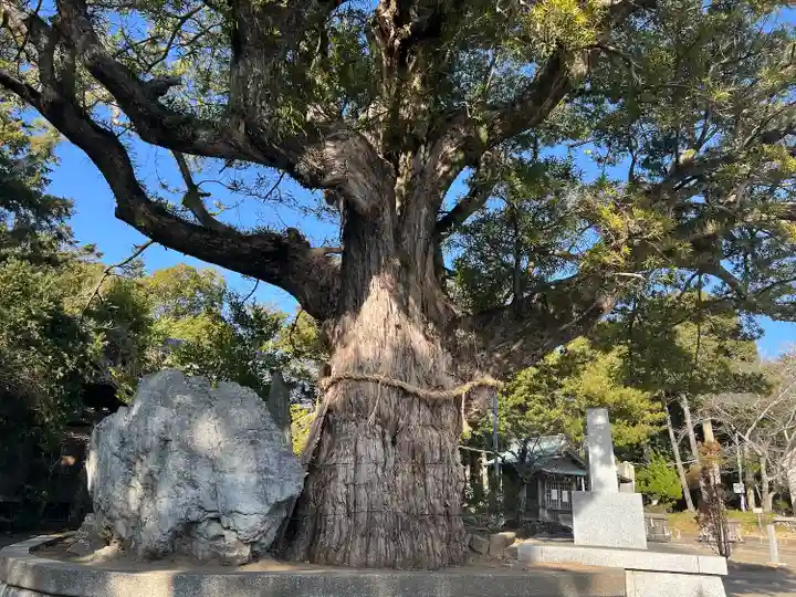 鶴谷八幡宮(千葉県)