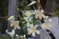 三春大神宮の手水舎