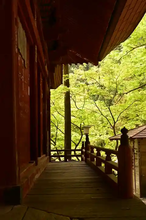 橋立堂(埼玉県)