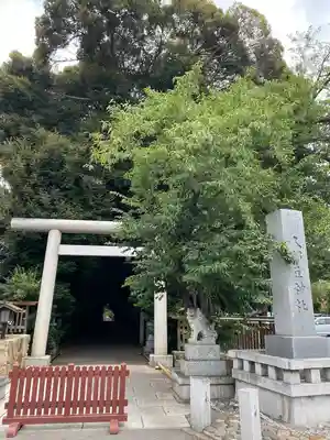 岩槻久伊豆神社(埼玉県)