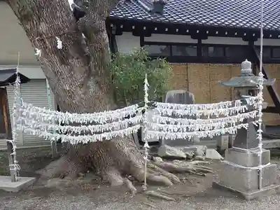 野里住吉神社のおみくじ