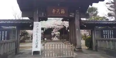 祐天寺の山門・神門