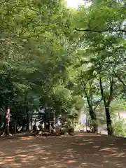 氷川神社(埼玉県)