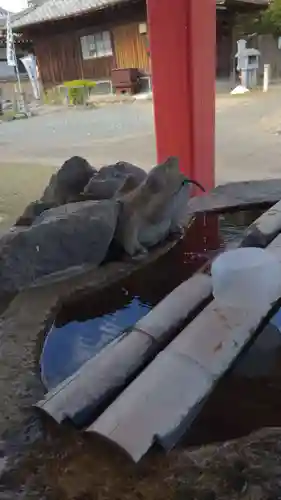 甚目寺の手水舎