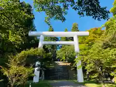 土津神社｜こどもと出世の神さまの鳥居