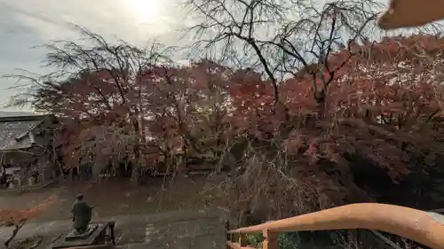 松ヶ崎大黒天 妙圓寺（妙円寺）(京都府)