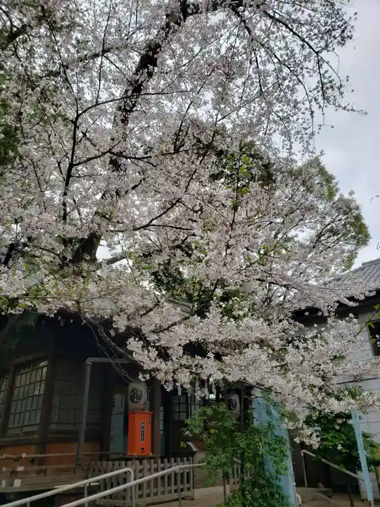 神明氷川神社(東京都)