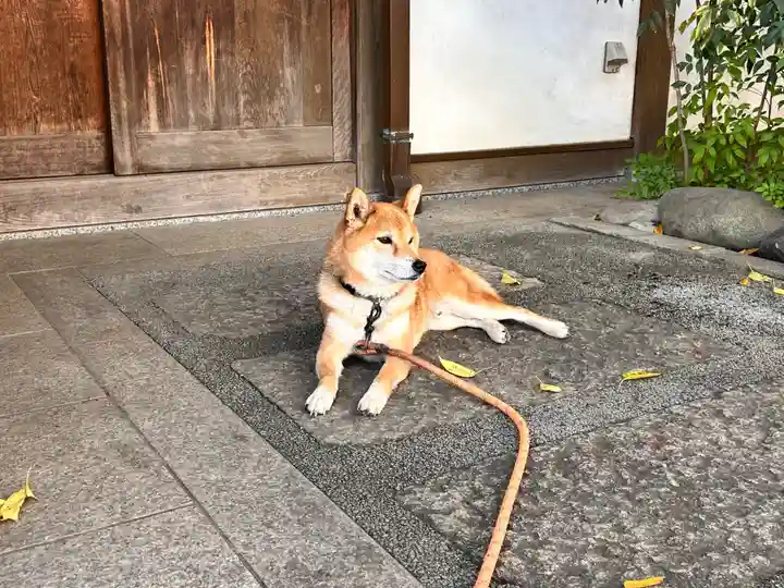 感通寺(東京都)