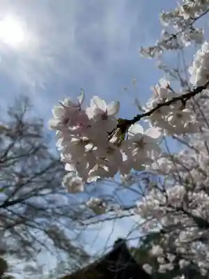 醍醐寺(京都府)