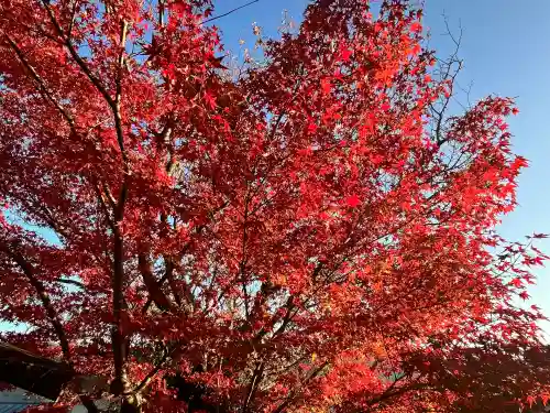 宝来山神社(和歌山県)
