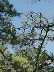 意富比神社の自然