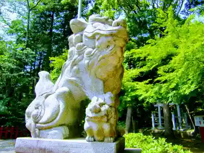 麻賀多神社奥宮の狛犬