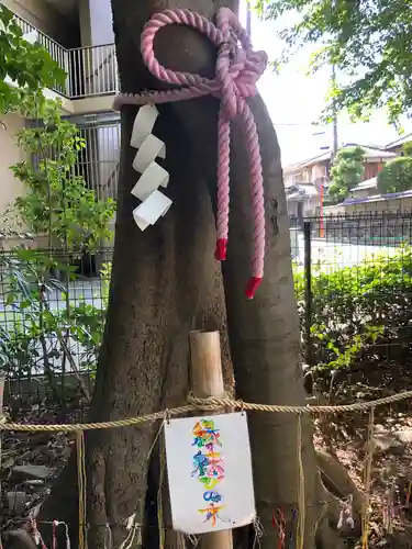 伊和志津神社(兵庫県)