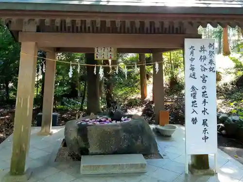 井伊谷宮の手水舎