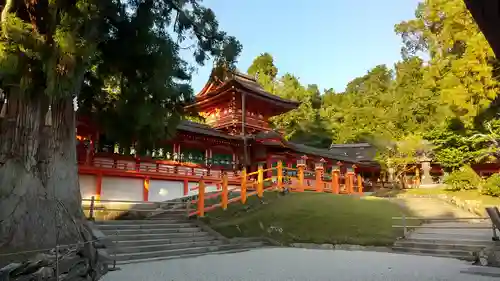 春日大社の本殿