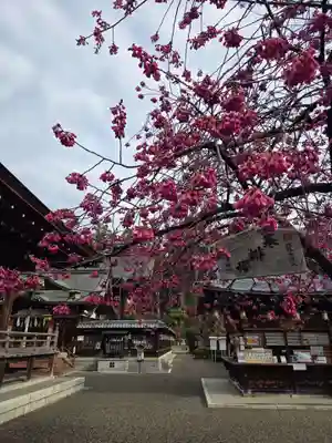 沙沙貴神社(滋賀県)