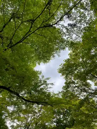 柳谷観音　楊谷寺(京都府)