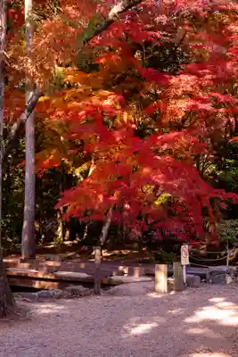 賀茂別雷神社（上賀茂神社）(京都府)