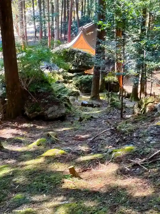 戸隠神社の本殿・本堂