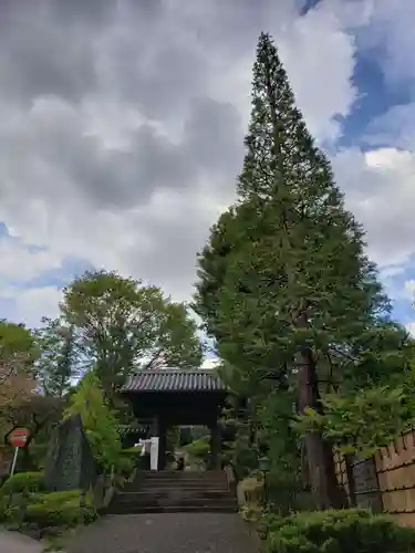 東長谷寺　薬王院の山門