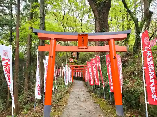 天開稲荷社の鳥居