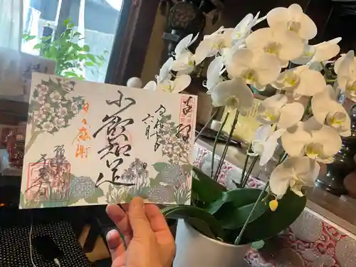 千光寺の御朱印