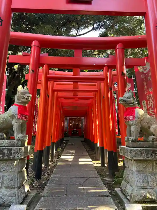 大杉神社(茨城県)