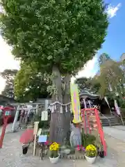 川越八幡宮(埼玉県)