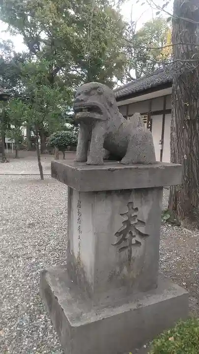 大分社の狛犬