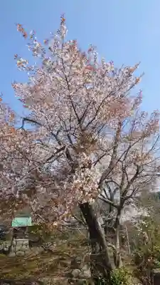 禅幢寺(岐阜県)
