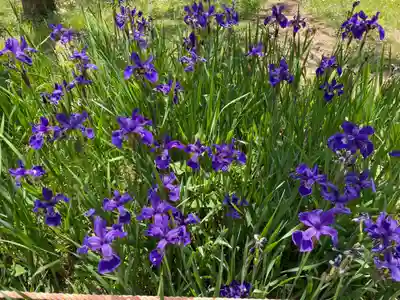 春日大社(奈良県)