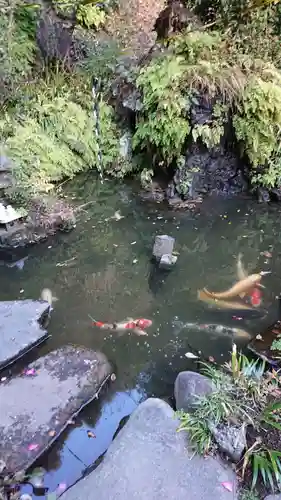 大綱金刀比羅神社の庭園