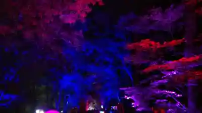 賀茂御祖神社（下鴨神社）のその他建物