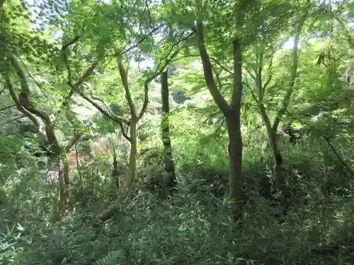 勝持寺（花の寺）(京都府)