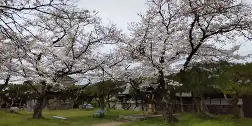 三柱神社(京都府)
