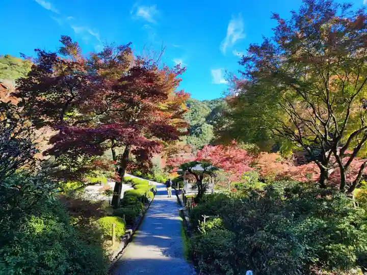 三室戸寺(京都府)