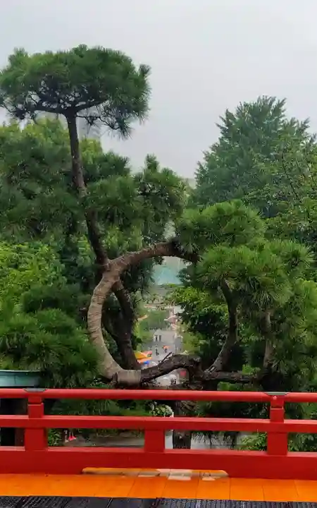 寛永寺不忍池弁天堂(東京都)