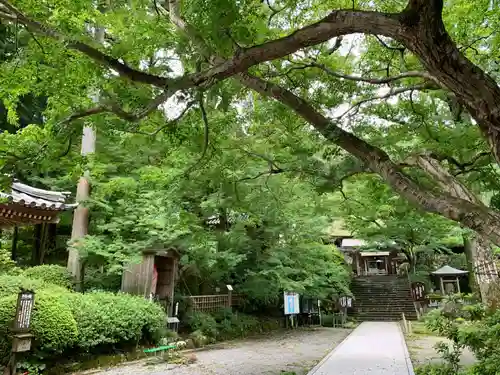 大興善寺のその他建物