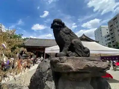 浅草神社の狛犬