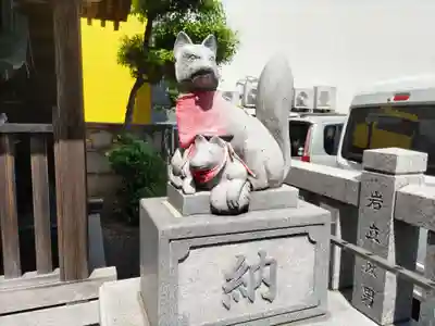 櫻株稲荷神社(水戸屋稲荷)の狛犬