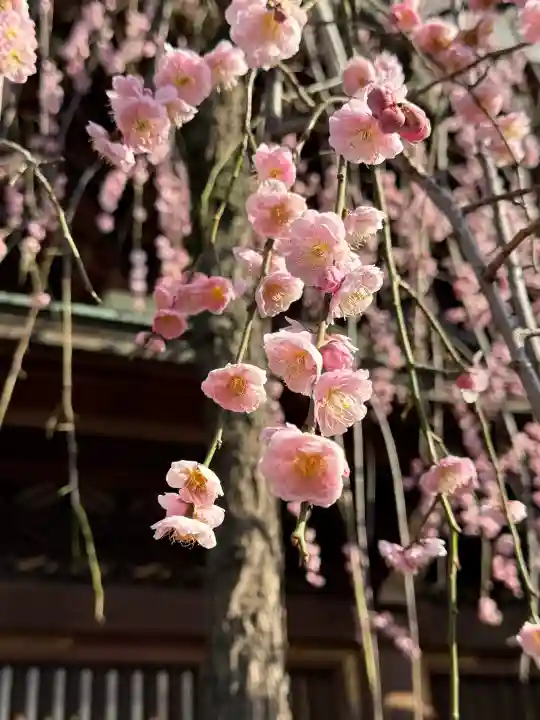 湯島天満宮の{uncategorized: "未分類", other: "その他", undefined: "問題あり", building: "その他建物", grave: "お墓", sacred_gate: "鳥居", guardian: "狛犬", statue: "像", buddha: "仏像", history: "歴史", nature: "自然", garden: "庭園", animal: "動物", pagoda: "塔", temizu: "手水舎", mountain_gate: "山門・神門", sanctuary: "本殿・本堂", subordinate: "末社・摂社", art: "芸術", scenery: "景色", jizo: "地蔵", ema: "絵馬", goshuin: "御朱印", omikuji: "おみくじ", items: "授与品その他", amulet: "お守り", goshuincho: "御朱印帳", eats: "食事", festival: "お祭り", votive_dance: "神楽", shichigosan: "七五三参", wedding: "結婚式", experience: "体験その他", initially: "初詣", around: "周辺", anti_infection: "感染症対策"}