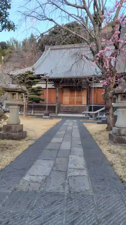 行蓮寺(静岡県)