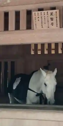 伊勢神宮外宮（豊受大神宮）(三重県)