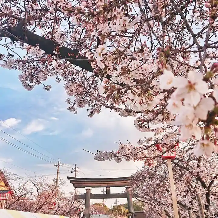 尾張大國霊神社(国府宮)の自然